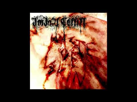 I'm In A Coffin - Waste Of Skin (2020)