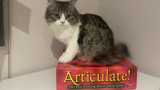 Articulate Board Game - how to play Articulate - Part 1