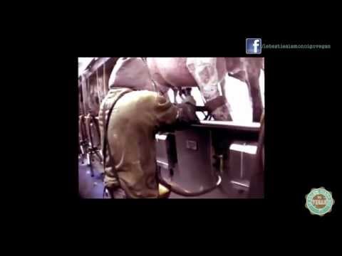 Alla moglie bevo il pane tostato del marito non per vostro 50 Alcolismo e la sua influenza su sviluppo della personalità sana. brevemente