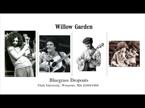 Willow Garden - Bluegrass Dropouts