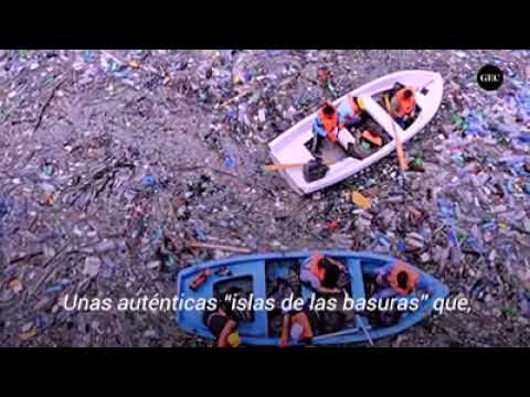 Covid-19: Daños colaterales al medio ambiente