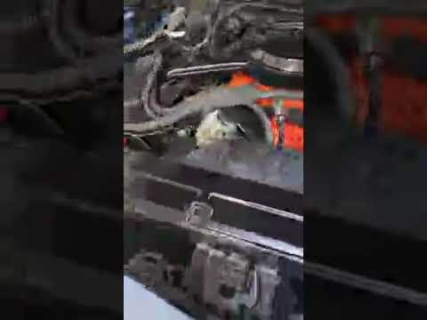 1969 Chevrolet Chevelle Malibu (CC-1909049) for sale in Emory , Texas