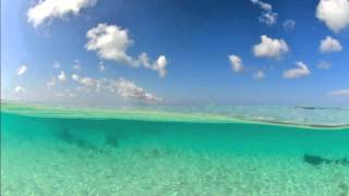 Ralph McTell - Still in dreams (with lyrics)