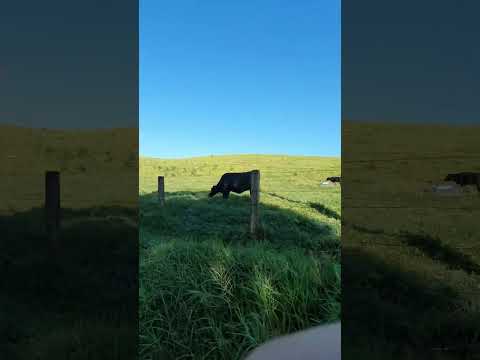 Girinho do fds #bike #mtb #ciclismo