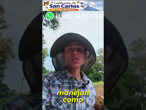 ¿Cuánto Tardas en Llegar a Lotificación San Carlos? 🚗