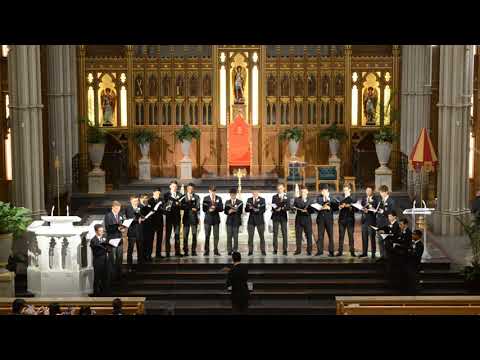 Graduation 2019: Alma Redemptoris Mater a 5 - Victoria