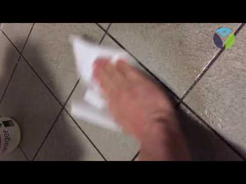 Video 4