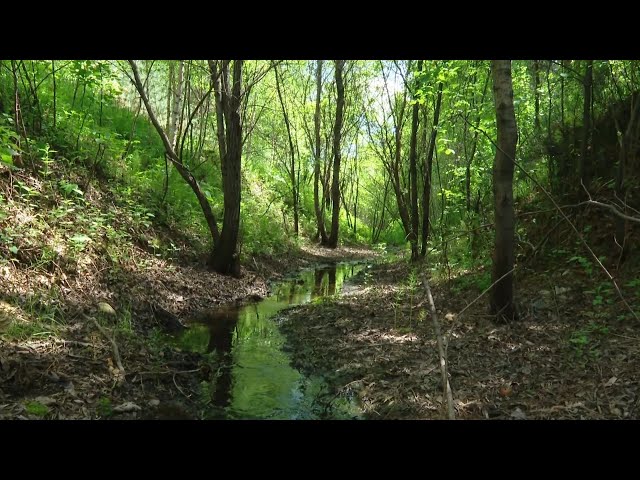 Жители садоводческого товарищества «Утес» обратились к главе Ангарского округа