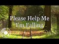 Please Help Me I'm Falling w/ Lyrics - The Everly Brothers Version