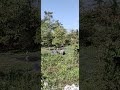 channel