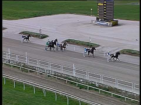 Trotto 29/11/2019 - 1ª prova di qualifica