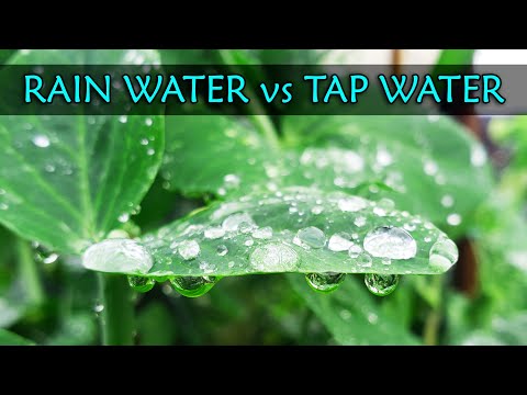 Garden Quickies Volume 1 Episodes 1 to 10