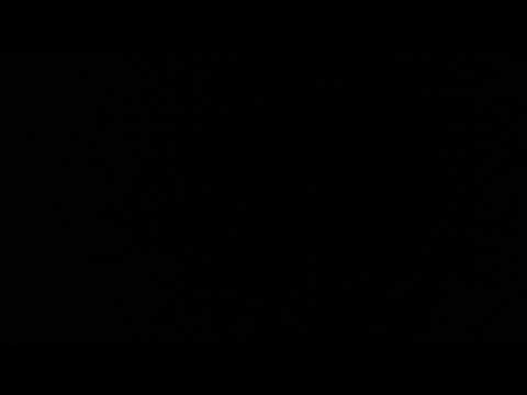 every single local german government has tried top torture and kill me