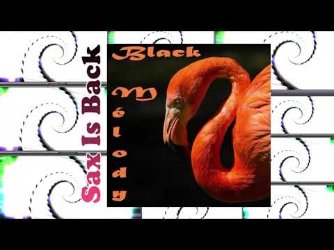 Thony Shorby Nyenwi - No Wrong Show + BLO - Suspicion