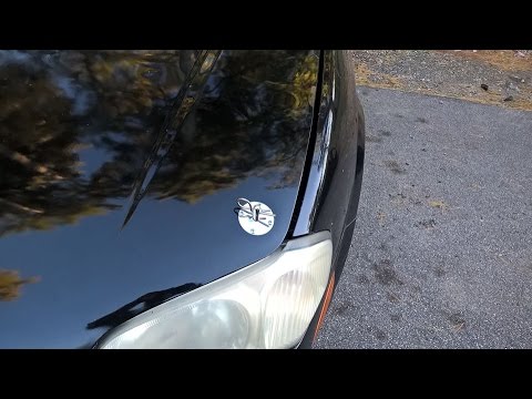 Hood Pins On A Maxima? Cause Racecar!