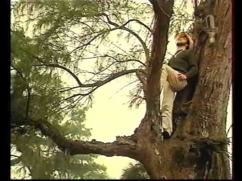 BAER ET WIZMAN LE BENIN