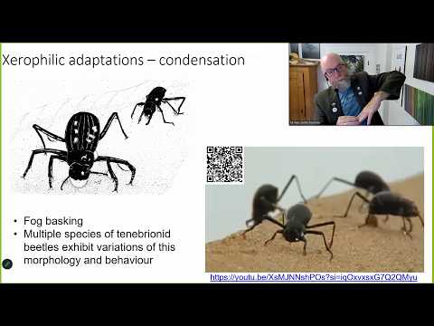 ZOO*3700 - Lecture 10 - Abiotic stress I - Waterloss