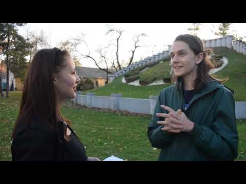 Interviu Voicu Dumitras,  alias Cipi din Hackerville