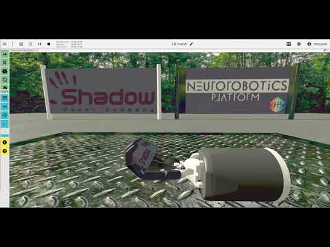 Shadow Robot and The Human Brain Project - AI Collaboration Video