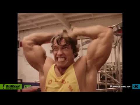 The King Arnold Schwarzenegger Motivational Video - Mad Desire(Cygnosic)