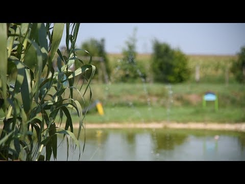 Folyamatosan leszokom a dohányzást. WC-be akarok menni