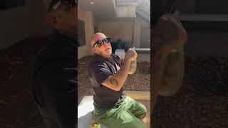 Madchild Remembers The Legacy of Swollen Members! &quot;The Best Of Swollen Members&quot; Available 11/18