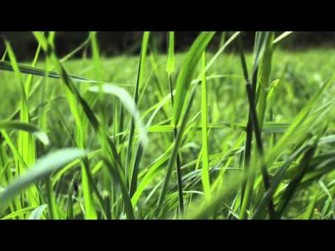 DieMiezen Warten – Einklang