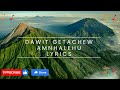 Dawit getachew Amnhalehu (Lyrics) | ዳዊት ጌታቸው (አምንሃለሁ)