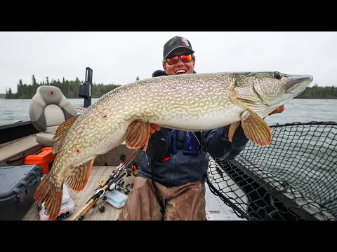 Unbelievable DRIVE-TO Canadian Pike Fishing