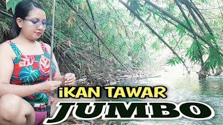 Download lagu Mancing di sungai air dangkal hutan kampung pedesaan di temani udara yang sejuk mp3