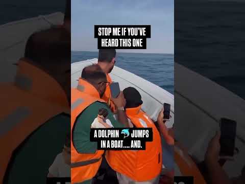 Delfín 🐬 salta dentro de una embarcación para turistas. #suscribete #youtubeshorts #delfín