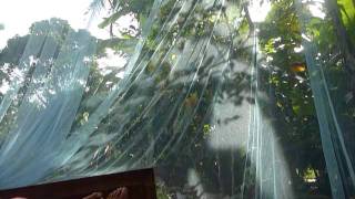 preview picture of video 'Sri Lanka,ශ්‍රී ලංකා,Ceylon,Mosquito Net,Nice Jungle View (01)'