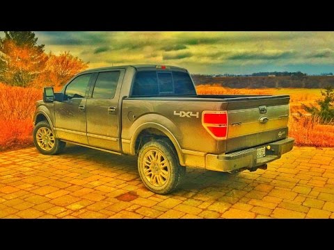 Toby Tuesday! | Mark Freeman #408