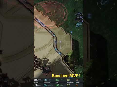 Byun's Banshee Versus Maru! #shorts