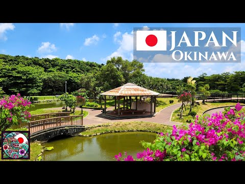 A Quiet Walk Through a Green Park in Okinawa, Japan