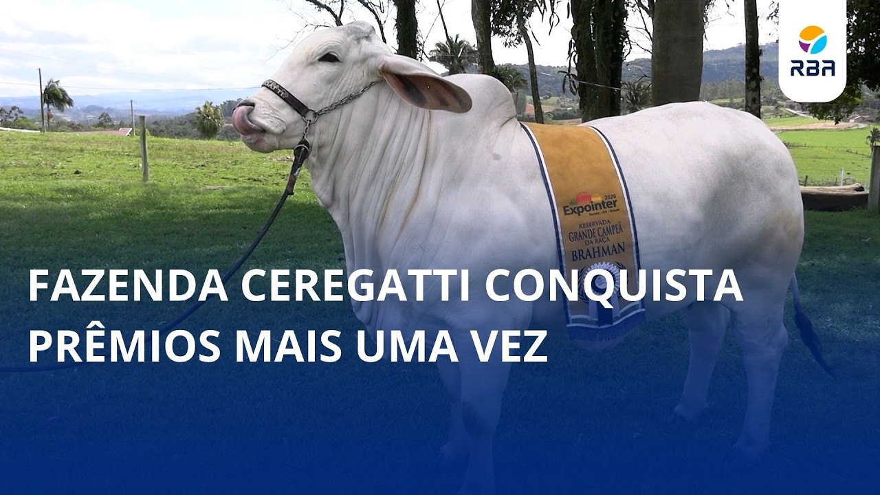Quatro anos, quatro conquistas: Fazenda Ceregatti é premiada novamente