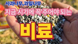 사과나무 과일나무 지금 시기에 꼭 이런 비료를 주어야 된다