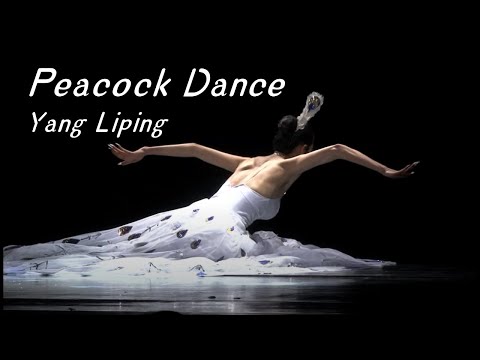 Yang Liping - The Soul of Peacock - Peacock Dance - Traditional Dance - HD 杨丽萍《雀之灵》完整版  高清 孔雀舞 傣族舞
