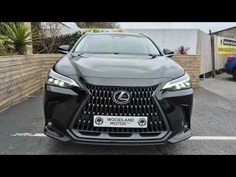 2023 Lexus NX 450H+