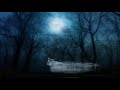 Klaus Schulze - Friedemann Bach