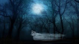 Klaus Schulze - Friedemann Bach