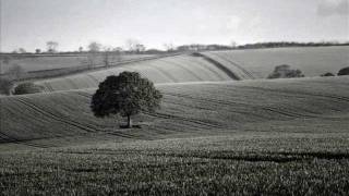 String Quartet "In E Minor" by Casey Coolidge