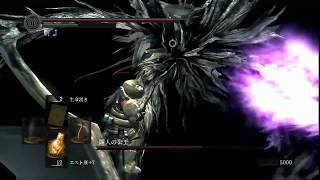 【DARK SOULS】カンスト世界に行ってみよう 四人の公王戦 【実況】