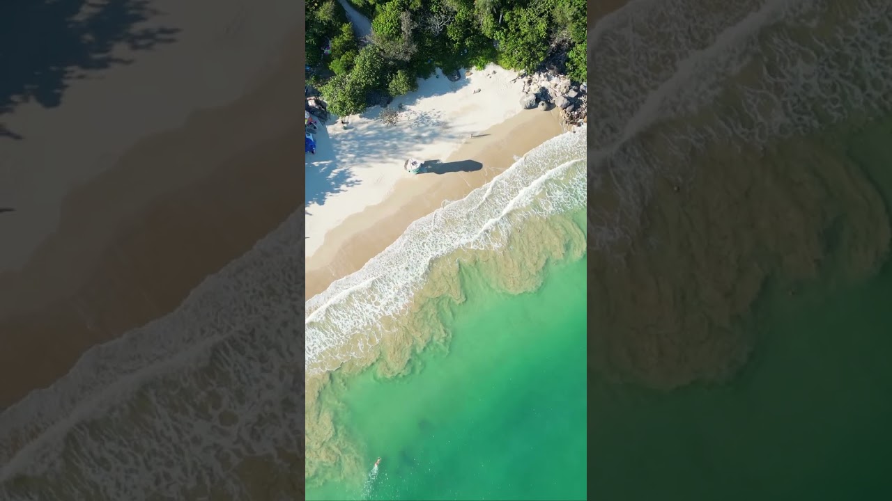 YouTube Short thumbnail