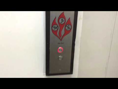 U.S. (2008 Otis E-411M) Traction Service Elevator at Margaritaville Lake Resort, Montgomery, TX