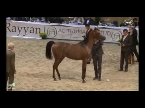 Jayda Al Rabi 3rd place,all nations cup