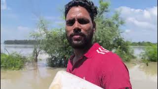 #rescue #flood #yamuna #punjab #gorakshak #bajrangdal