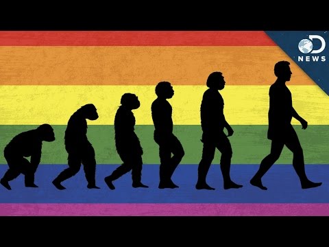 【性別平等】為什麼有同性戀？(Why Is There Homosexuality?)
