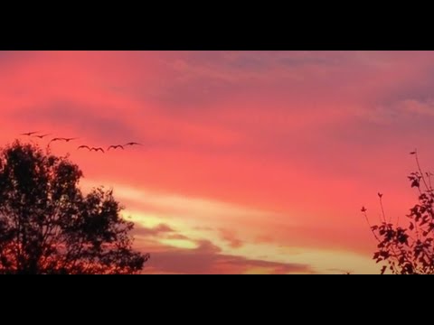 Welcome Video Week 12/06/2021 -  When does the call to repentance come?