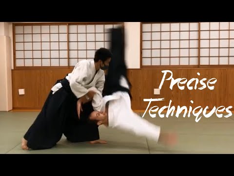 Precise and Fluent Aikido Techniques - Haruki SATO